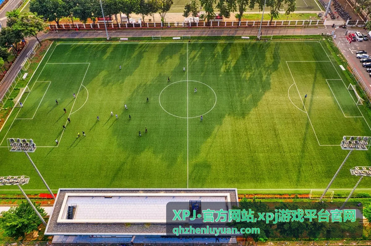 XPJ官方网站官方入口展示图