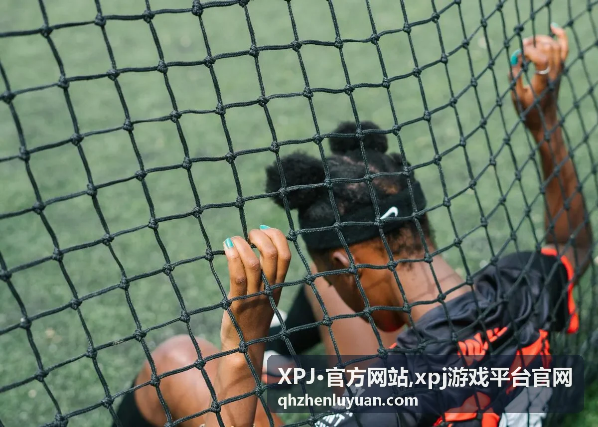 XPJ官方网站官方入口封面图