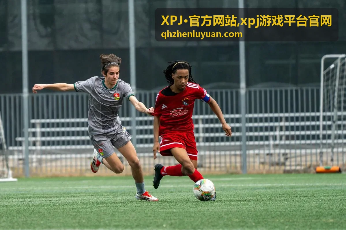 XPJ官方网站手机端查看封面图