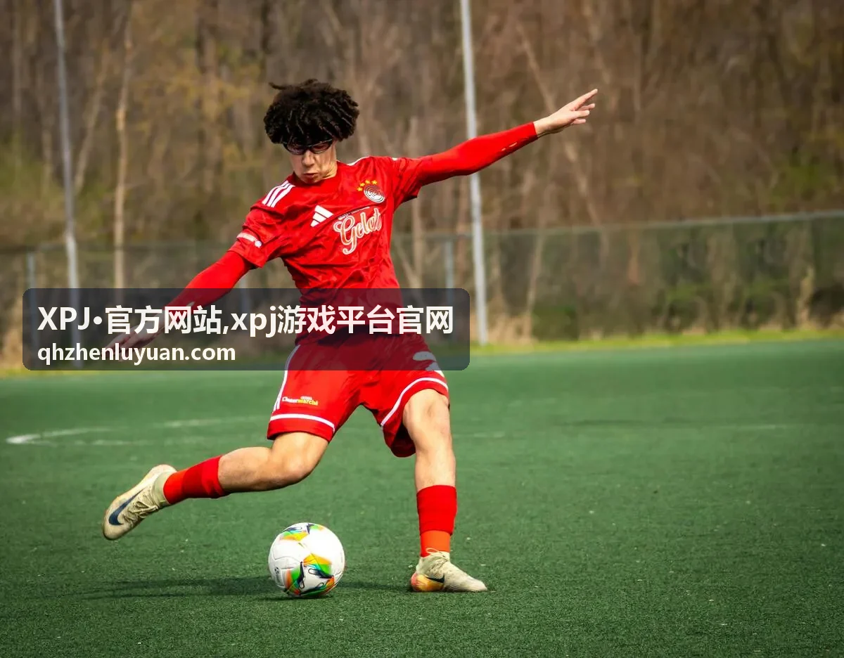 XPJ官方网站常见问题汇总图